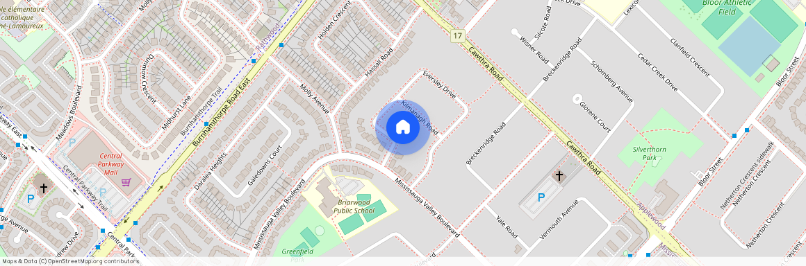 771 Eversley Drive Unit# BASEMENT, Mississauga