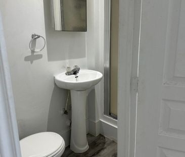 Appartement à louer - Montréal (Rosemont/La Petite-Patrie) (La Peti... - Photo 2