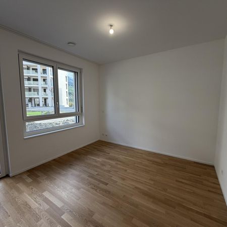 Joli studio au rez-de-chaussée d'un immeuble neuf - Photo 4