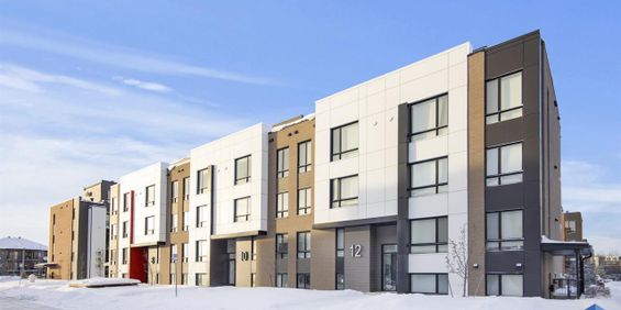 16-202 - 16 Rue Marjorie-D.-Shackelton, Gatineau - Photo 3