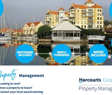 Modern Studio Apartment for Rent in Gulf Harbour - Photo 5