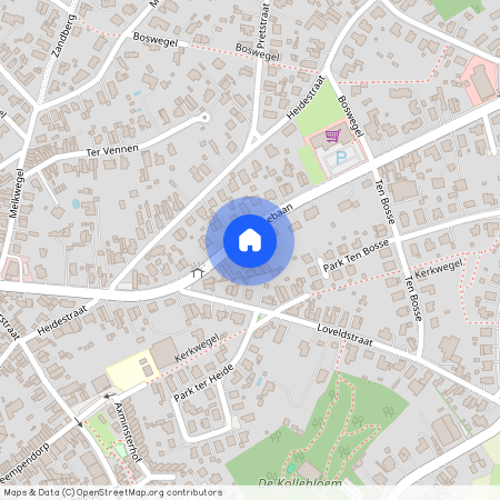 Laarnebaan, 44, 9070, Heusden