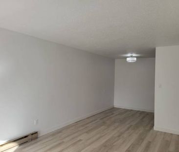 1 bed 1 bath - Photo 2