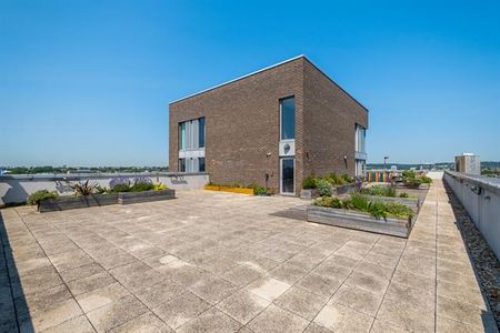 3 bedroom apartment to rent - Photo 2