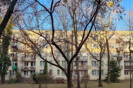 Zwierzolubna kawalerka do wynajęcia,os.Niedźwiadek 24.3 m² - Zdjęcie 2