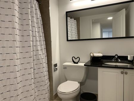 435 Albert St., Centretown, Ottawa, ON - Photo 2