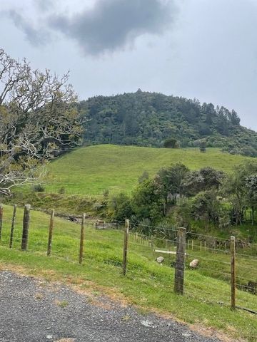 646 Manawahe Road, Matata - Photo 3