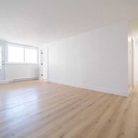 LIBRE - Face au Collège Bois-de-Boulogne Ahuntsic Montreal - appartement/ logement à louer - Photo 4
