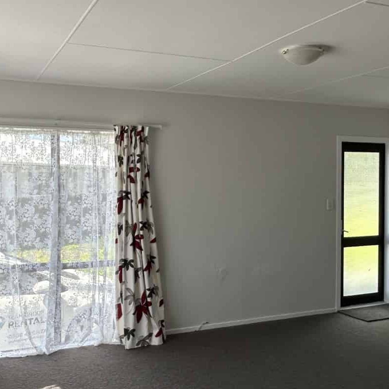 Welcome to your next home in the heart of Levin! - Photo 1