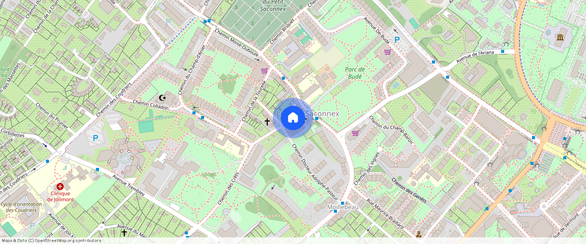 1209 Le Petit-Saconnex