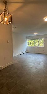 AVAIL OCT 1 - KITS - 2BD 2BA NEWLY RENO. APARTMENT, PET FRIENDLY! - Photo 4