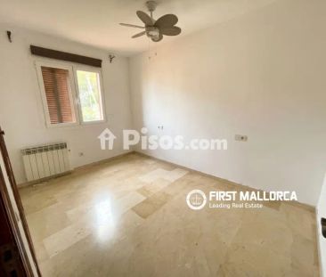Apartamento en alquiler en Santa Ponça - Photo 4