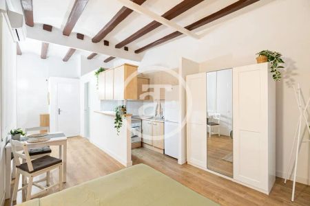 Estudio de alquiler en Carrer de Les Carretes, El Raval - Photo 2