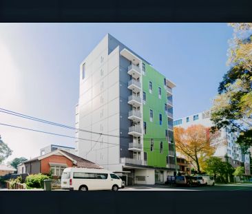 17 Wilga Street, Sydney - Photo 1