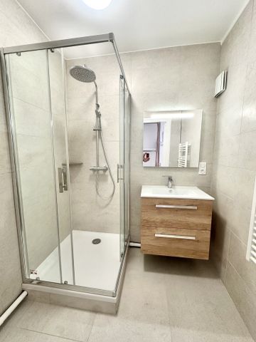 Location Appartement 2 pièces 50m² GRENOBLE 38100 - Photo 5
