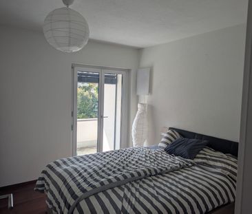 8952 Schlieren - Photo 3
