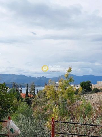 Διαμέρισμα για ενοικίαση Θεολόγος (Μαλεσίνα) - Photo 4