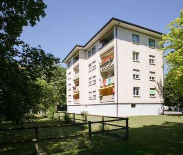 4 Zimmer, 74 m², 3. Stock - Foto 4