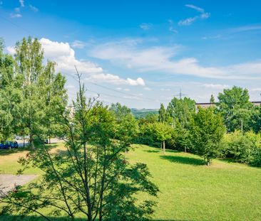 1-Raum-Wohnung mit Blick ins Grüne - Foto 1