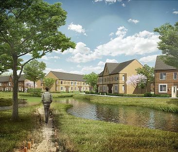 Zilverstreepzoom 9 - Photo 1