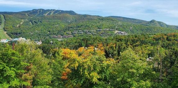 Logement à louer Mont-tremblant - Photo 2