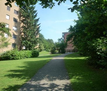 3 ½ Zimmer-Wohnung in Glattbrugg mieten - Foto 5