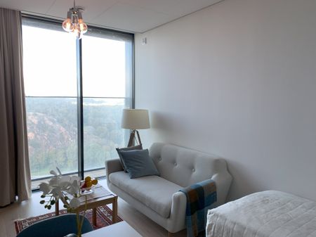 Lodjursstråket, Göteborg - Foto 3