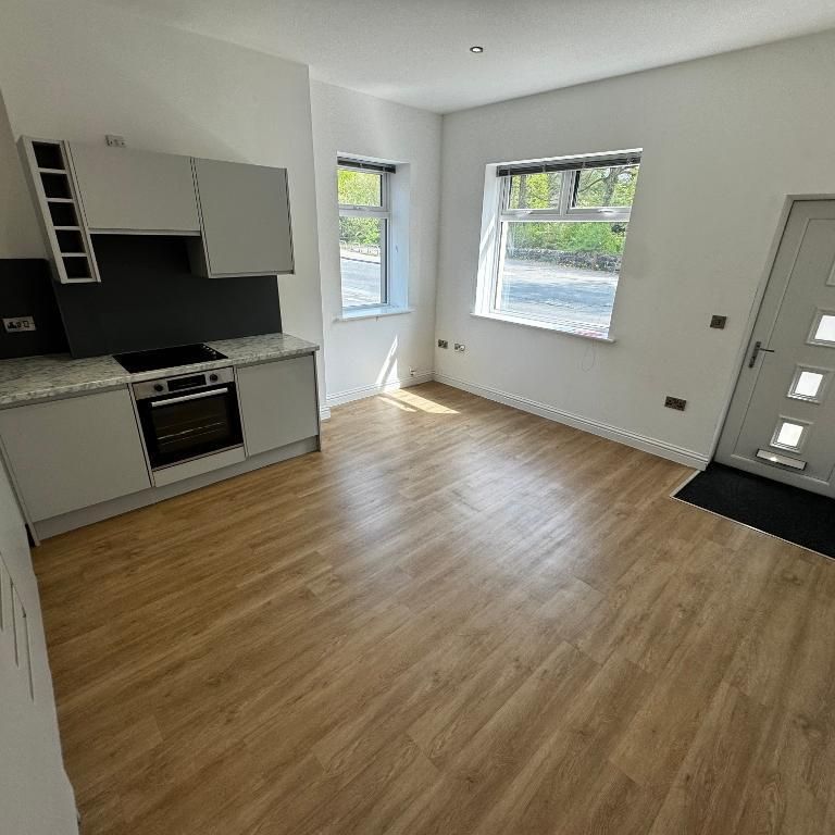 1 bedroom flat to rent - Photo 1