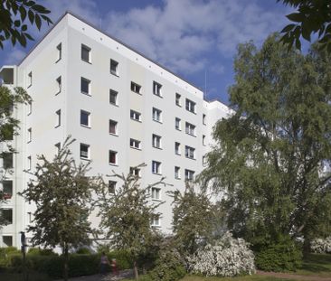 Biesenbrower Straße 68, 13057 Berlin - Foto 1