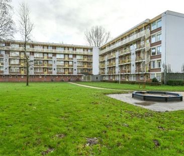 Leverkruidweg 0ong, 1508 WP Zaandam, Nederland - Photo 1