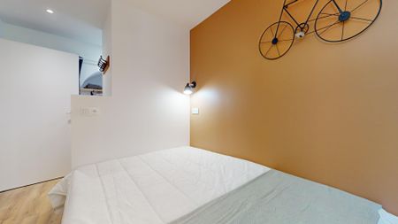 ALSACE LORRAINE Roommate 5 Bedrooms at Lyon 1er - Photo 3