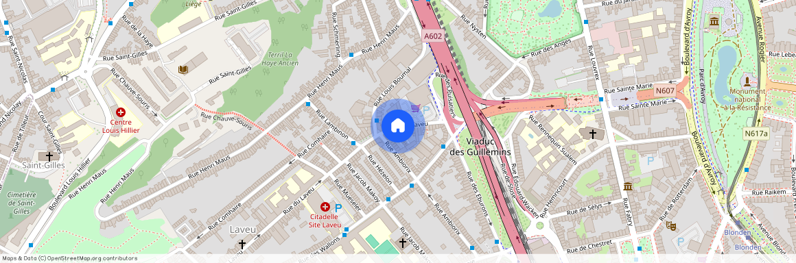 Rue Du Laveu, 41, 4000, Liège