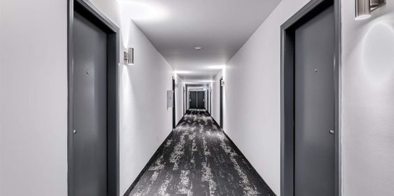 4 ½ - 6269 Boul. Maurice-Duplessis, Montréal - Nord - Photo 3