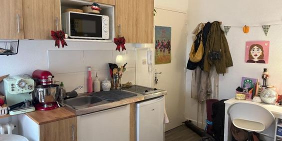 Appartement à louer, 1 pièce - Angers 49100 - Photo 3