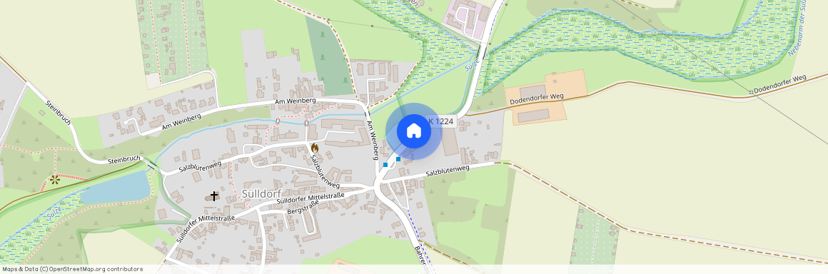 39171 Sachsen-Anhalt - Sülldorf