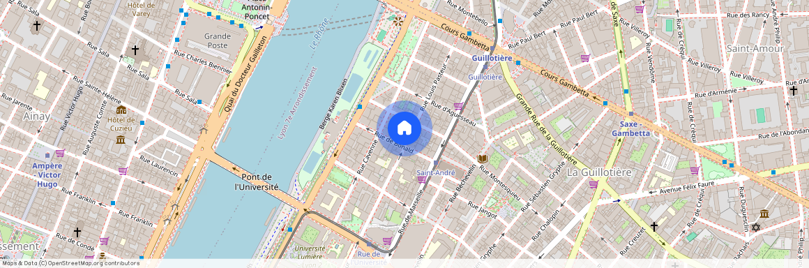 36 RUE PASTEUR, LYON 7EME ARRONDISSEMENT Pasteur