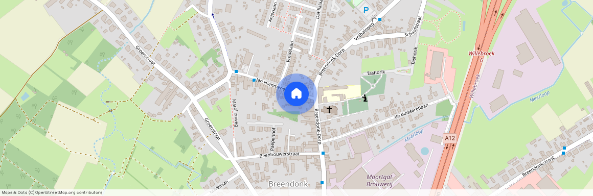 Jan Hammeneckerstraat 2/1.2, 2870 BREENDONK