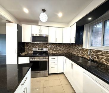 For Lease - 255 Sussex Avenue, Richmond Hill, Ontario - Photo 2