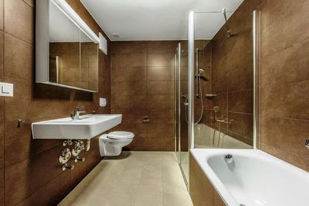 2.5 Zimmer, 55 m², 1. Stock - Foto 3
