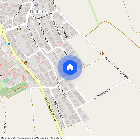 Haldenstrasse 30, 5454 Bellikon