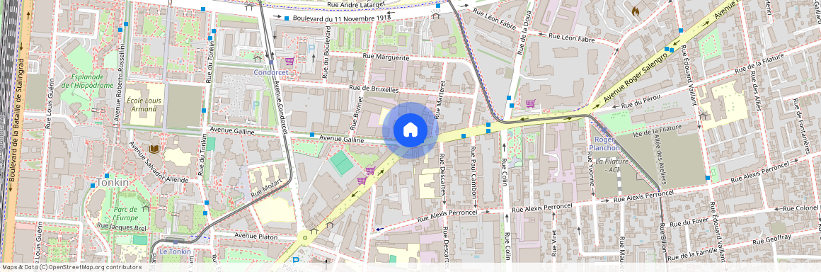 Villeurbanne - 69100