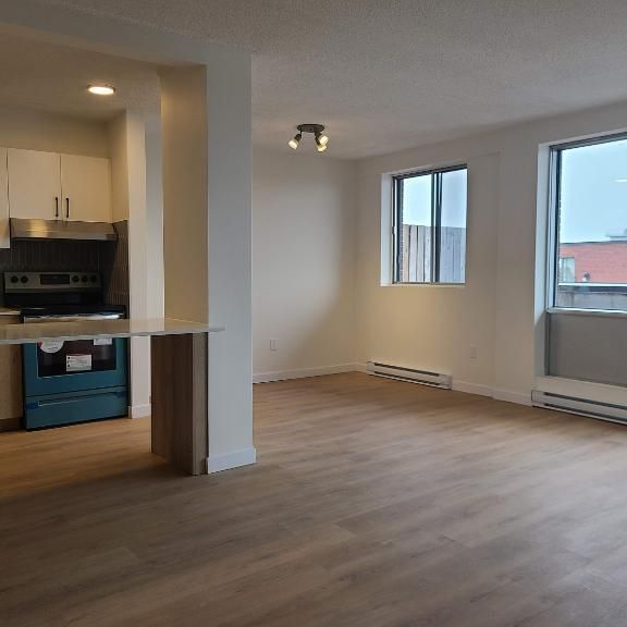 1 CH - 1 SDB - Côte Saint-Luc - $1,585 /mo - Photo 1