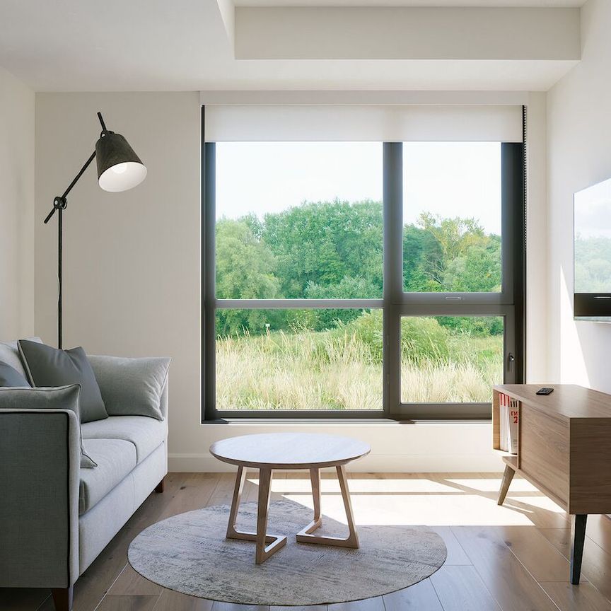 Chase gold, Find Ori - Photo 1