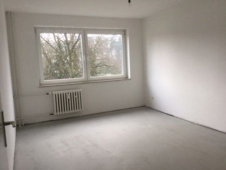 Aufgepasst! Gemütliche 2-Zimmer-Wohnung mit Balkon - Foto 2