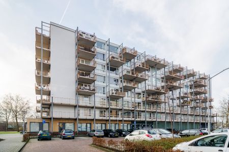 Kaap Hoorn 12 - Photo 5