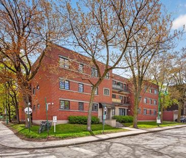 Appartement à louer - Montréal (Outremont) - Photo 1