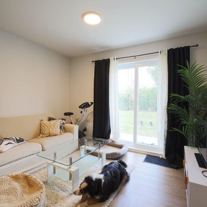 3 1/2 Longueuil animaux autorisés! - Photo 1