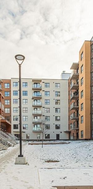 3 1/2 - 8500 Boulevard Viau, Saint-Leonard - Photo 2