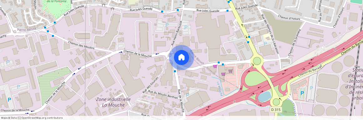 9 RUE PASTEUR, LYON 7EME ARRONDISSEMENT Pasteur