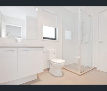 Contemporary Living Across Two Stunning Levels - Photo 5